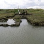 Kingsfleet-sluice-2