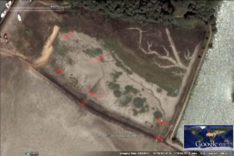 Location of Coir Logs and bunds on the Loompit Site