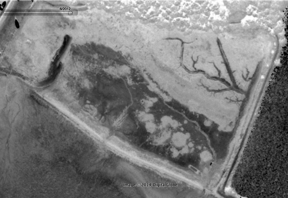 Loompit Lake site reversed to highlight mudflats and channel system.