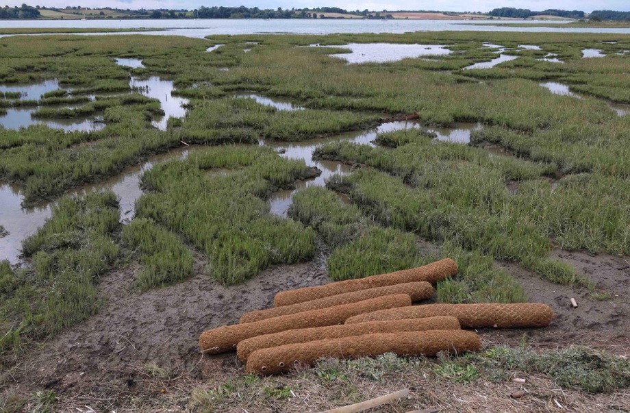 Coir Logs to be located on the western site. 18th August 2014.