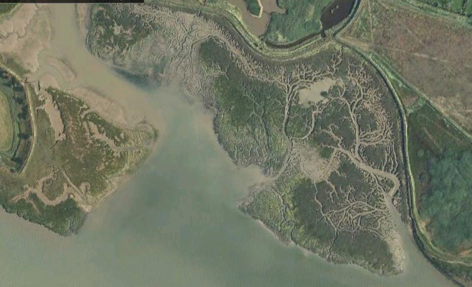 Levington Creek Site Satellite View