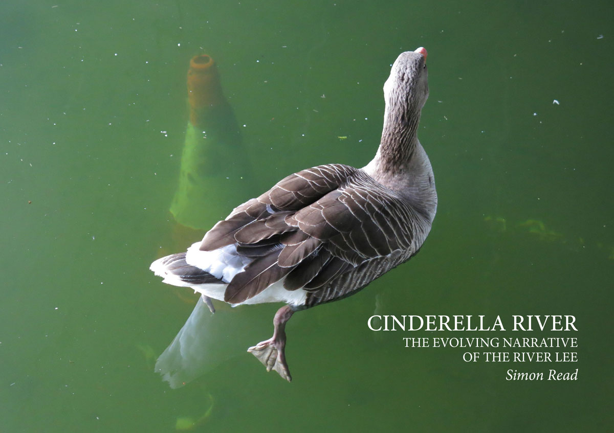 Click to buy your copy of Cinderella River by Simon Read