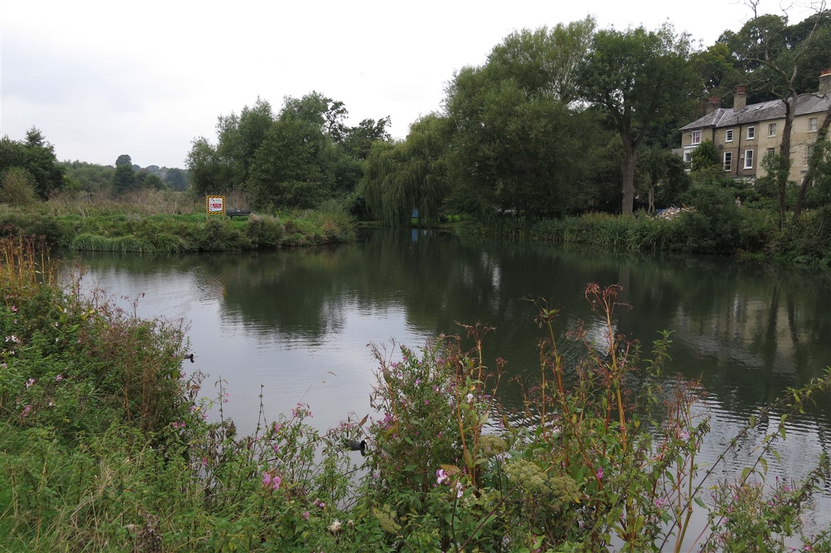 Confluence with the River Beane